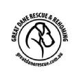 Great Dane Rescue and Rehoming NSW